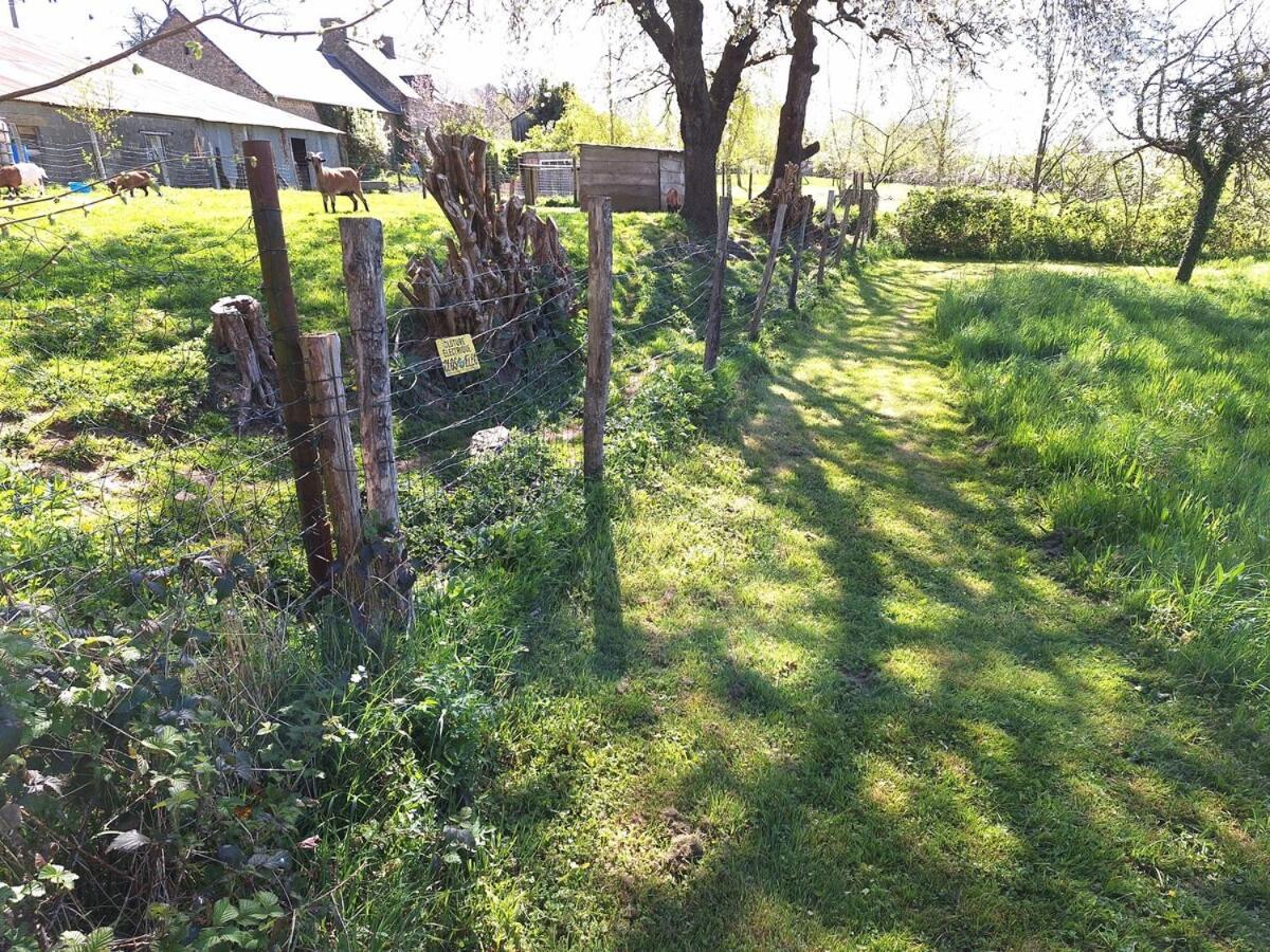 Au Lutin Pomme - Maison De Vacances Bretagne Mellé Kültér fotó