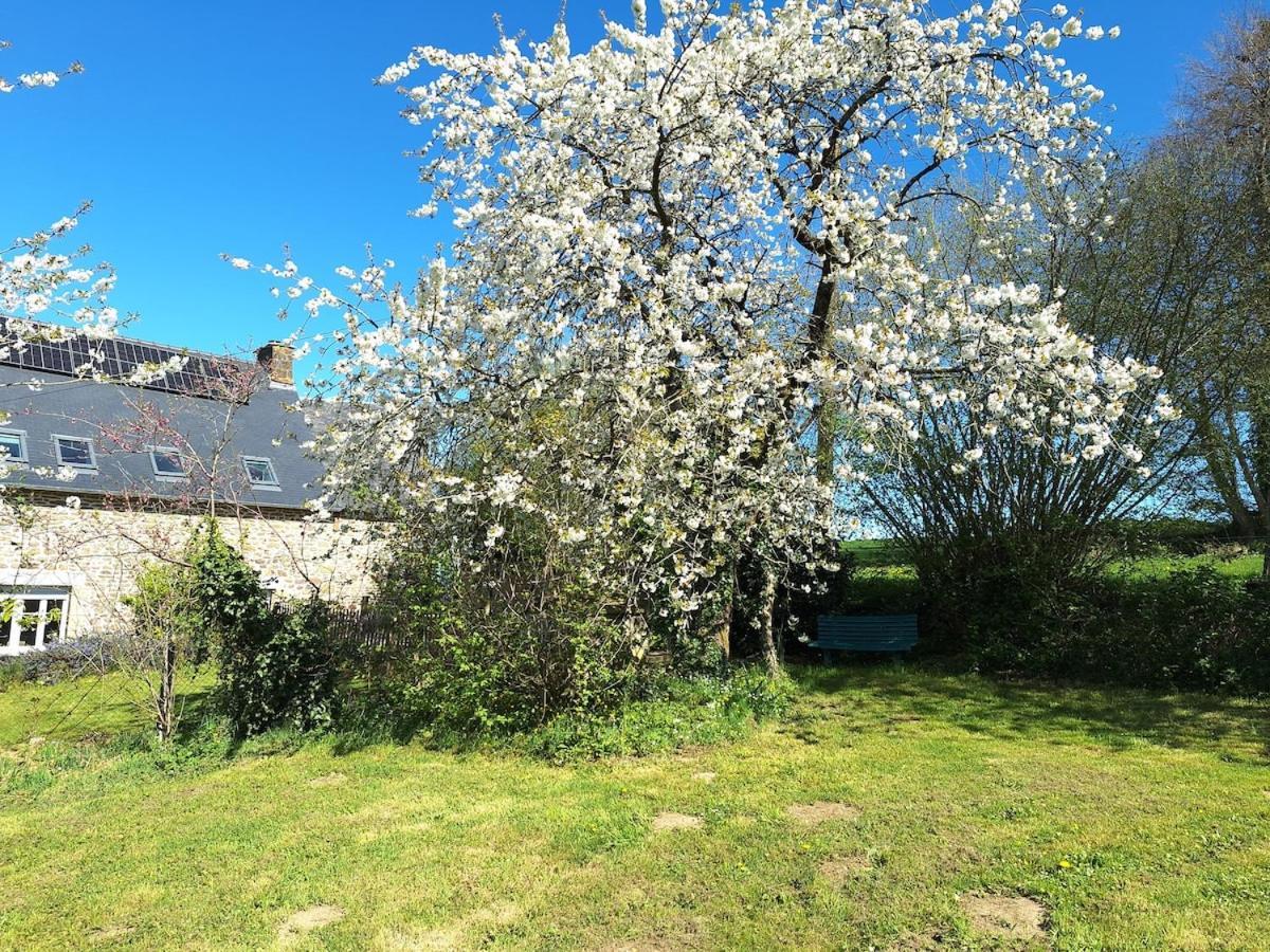 Au Lutin Pomme - Maison De Vacances Bretagne Mellé Kültér fotó